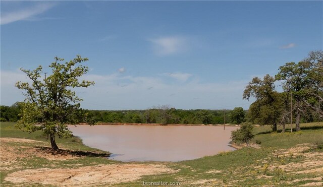 TBD Highway 79, Franklin, TX 77856 - photo 11