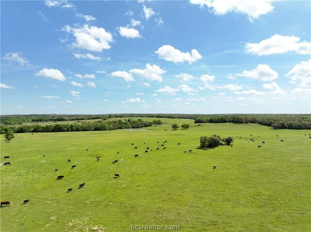 TBD Highway 79, Franklin, TX 77856 - photo 46