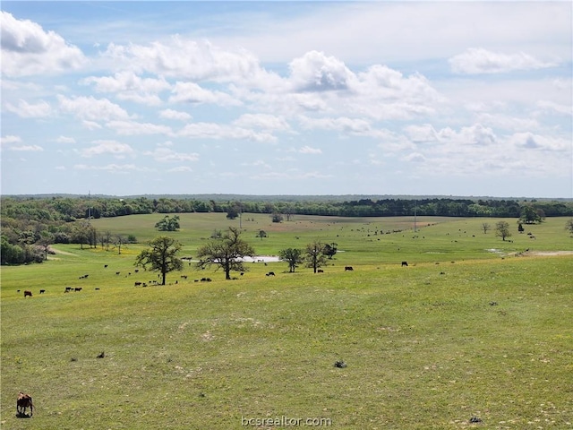 TBD Highway 79, Franklin, TX 77856 - photo 49