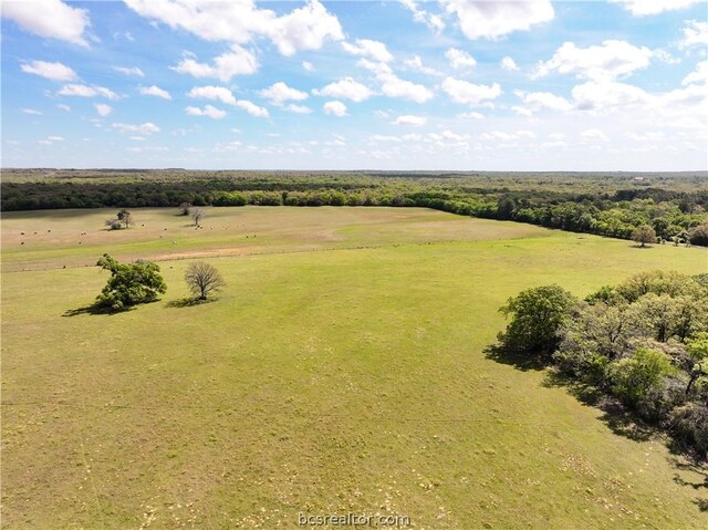 TBD Highway 79, Franklin, TX 77856 - photo 42