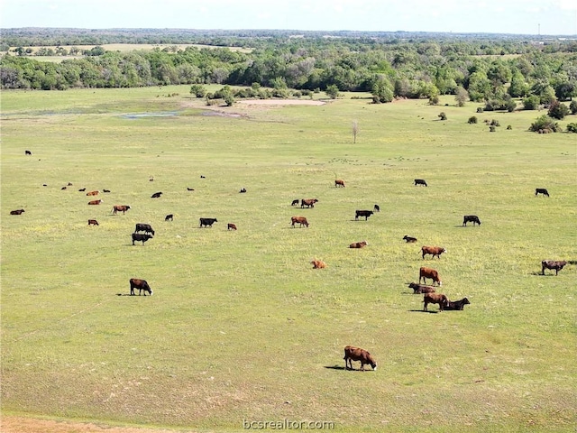 TBD Highway 79, Franklin, TX 77856 - photo 29