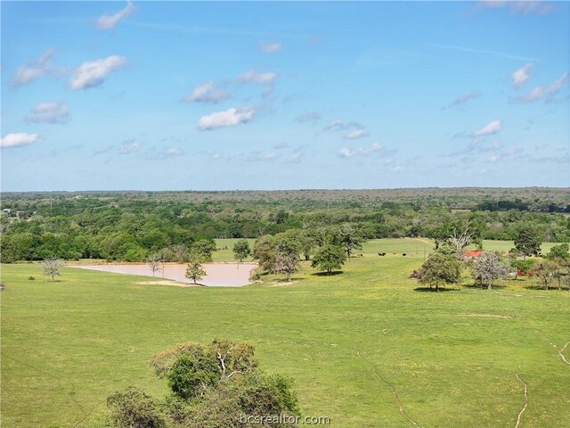 TBD Highway 79, Franklin, TX 77856 - photo 38
