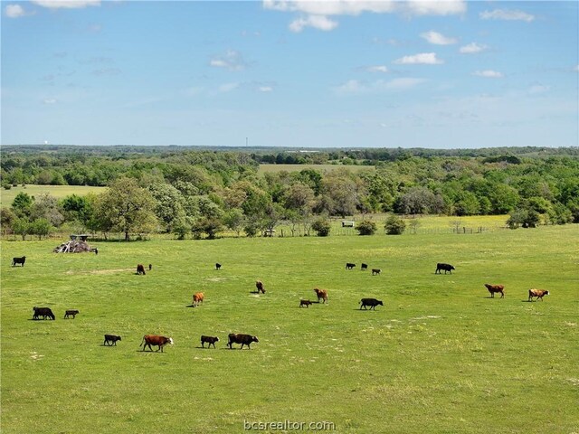 TBD Highway 79, Franklin, TX 77856 - photo 47