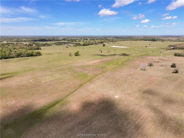 TBD Highway 79, Franklin, TX 77856 - photo 44