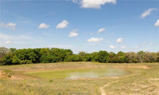 TBD Highway 79, Franklin, TX 77856 - photo 6