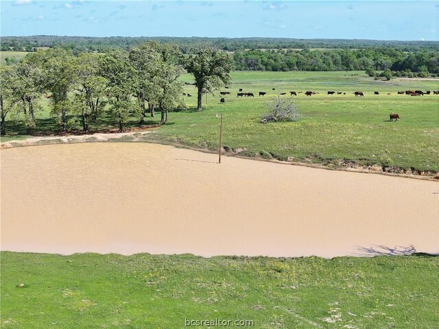 TBD Highway 79, Franklin, TX 77856 - photo 25
