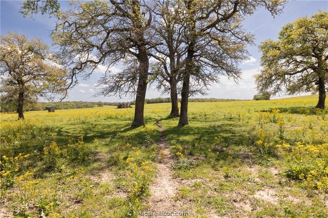 TBD Highway 79, Franklin, TX 77856 - photo 14