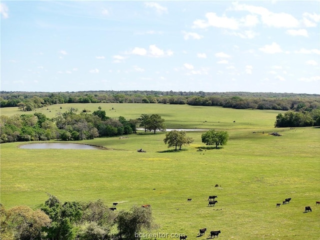 TBD Highway 79, Franklin, TX 77856 - photo 48