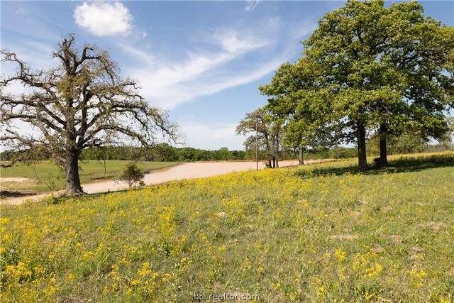 TBD Highway 79, Franklin, TX 77856 - photo 16