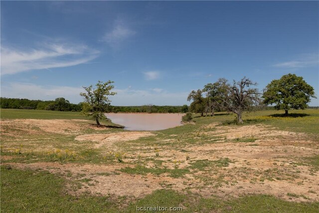 TBD Highway 79, Franklin, TX 77856 - photo 10