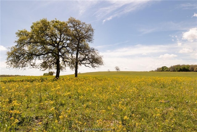 TBD Highway 79, Franklin, TX 77856 - photo 15