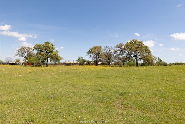 TBD Highway 79, Franklin, TX 77856 - photo 12