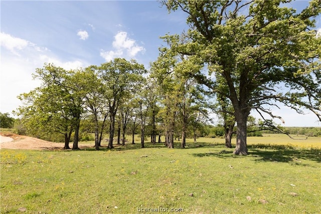 TBD Highway 79, Franklin, TX 77856 - photo 18
