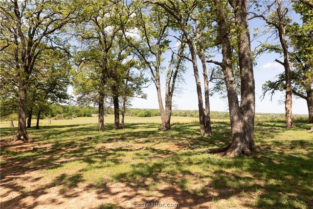 TBD Highway 79, Franklin, TX 77856 - photo 21