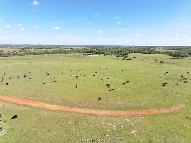 TBD Highway 79, Franklin, TX 77856 - photo 28