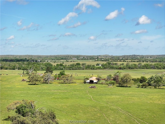 TBD Highway 79, Franklin, TX 77856 - photo 37