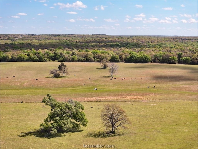 TBD Highway 79, Franklin, TX 77856 - photo 30