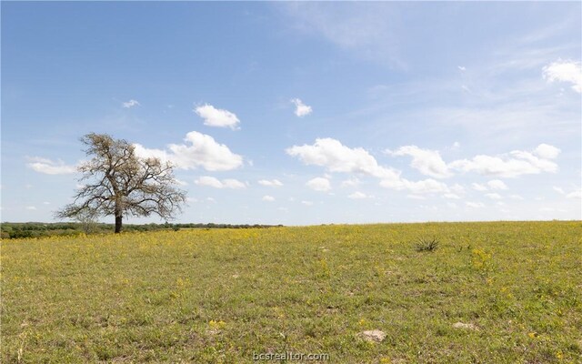 TBD Highway 79, Franklin, TX 77856 - photo 8