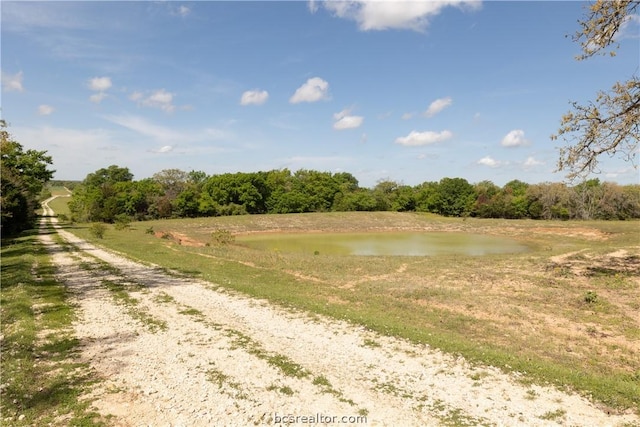 TBD Highway 79, Franklin, TX 77856 - photo 5