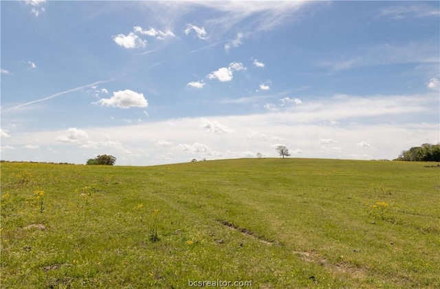 TBD Highway 79, Franklin, TX 77856 - photo 17