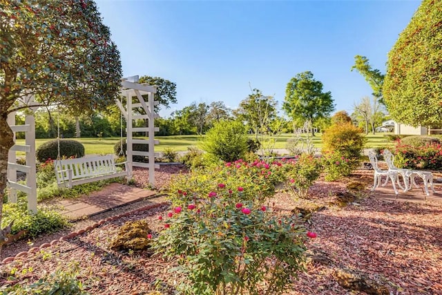 601 E Collard St, Madisonville, TX 77864 - view of community