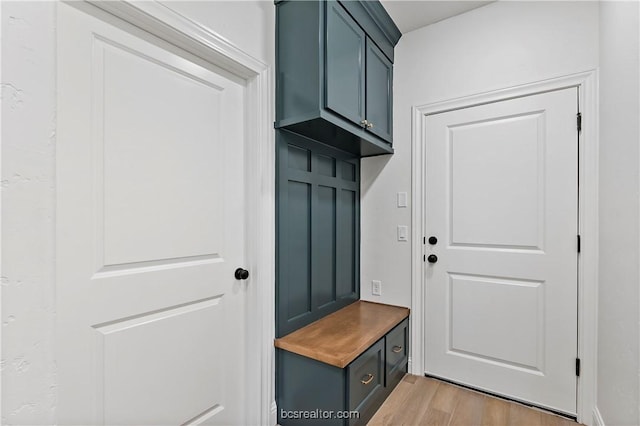 mudroom featuring light wood-type flooring