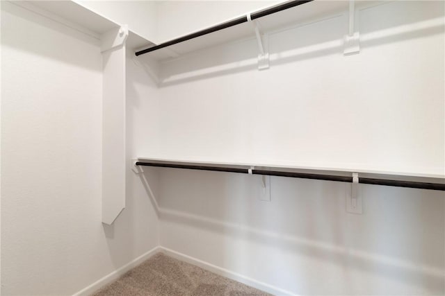 spacious closet featuring light colored carpet