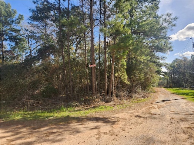 Lot3 Live Oak, Plantersville, TX 77363 - photo 5