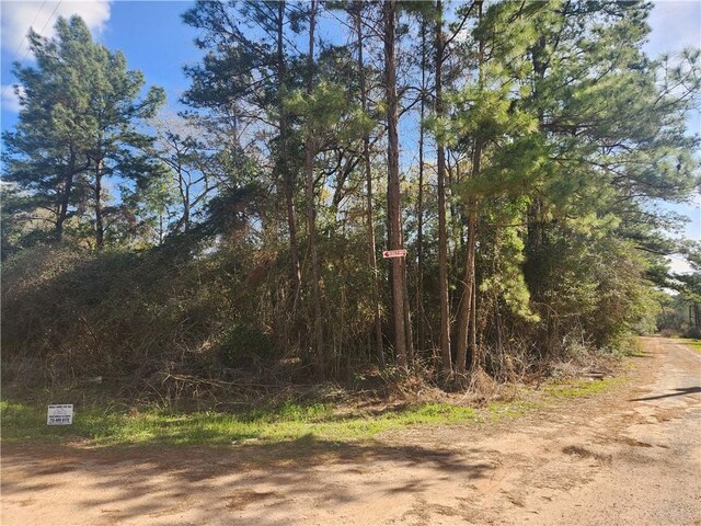 Lot3 Live Oak, Plantersville, TX 77363 - photo 3