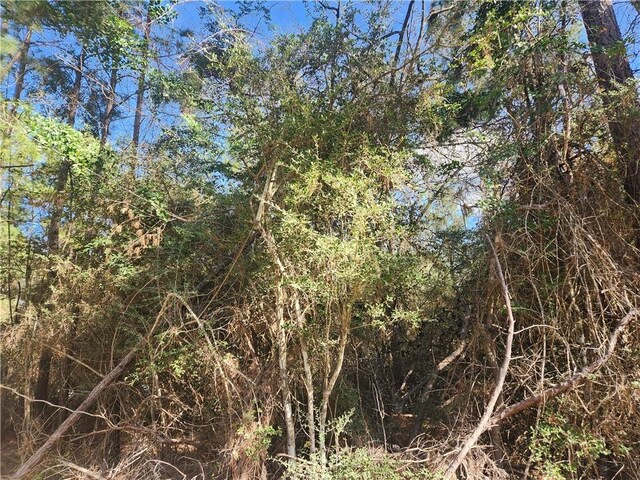 Lot3 Live Oak, Plantersville, TX 77363 - photo 13