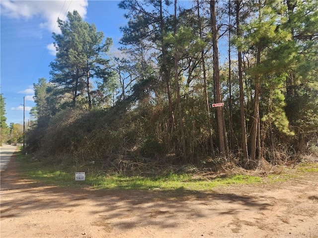 Lot3 Live Oak, Plantersville, TX 77363 - photo 4