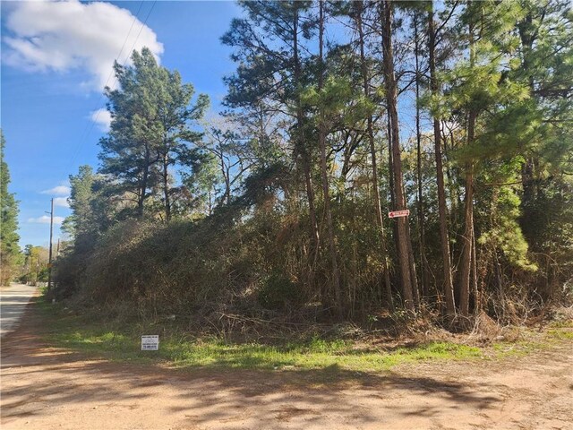 Lot3 Live Oak, Plantersville, TX 77363 - photo 6
