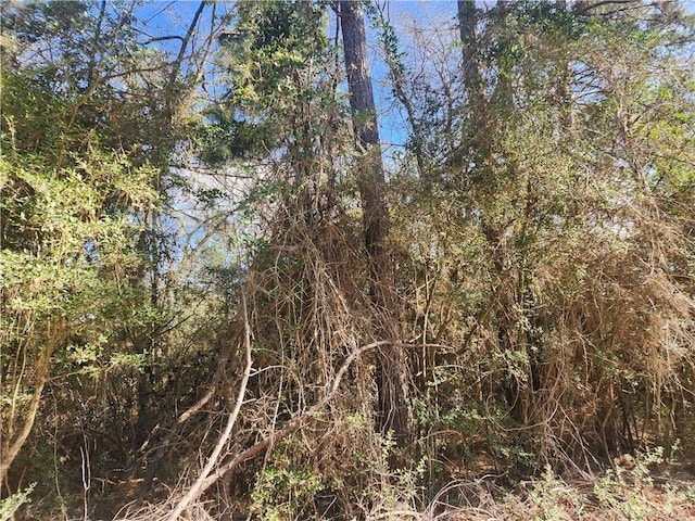 Lot3 Live Oak, Plantersville, TX 77363 - photo 12