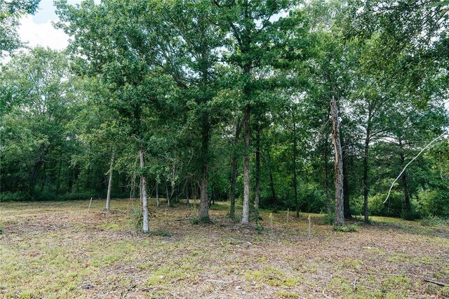 3408 Mahogany Dr, Bryan, TX 77807 - photo 11
