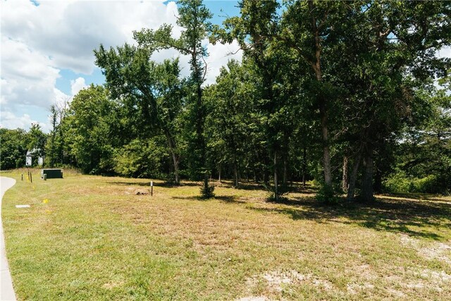 3408 Mahogany Dr, Bryan, TX 77807 - photo 9