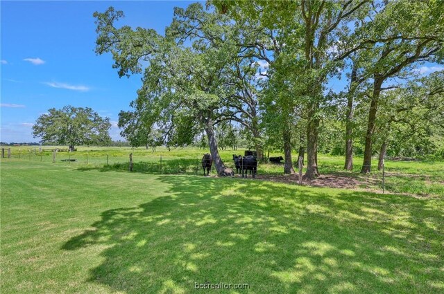 view of yard with a rural view