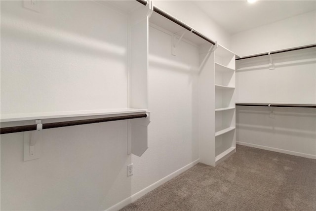 walk in closet featuring light carpet