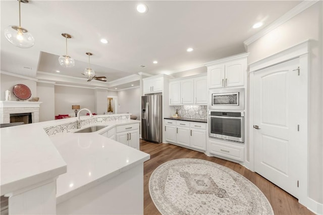 15658 Long Creek Ln, College Station, TX 77845 - kitchen with a stone fireplace, appliances with stainless steel finishes, a sink, and crown molding