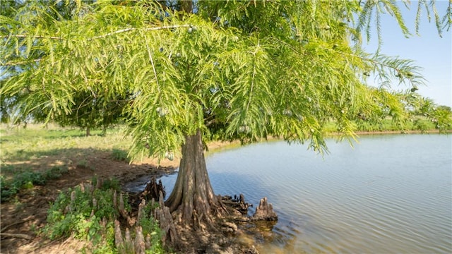 845-B County Road 208, Caldwell, TX 77836