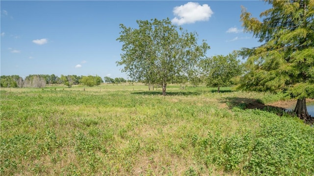 845-B County Road 208, Caldwell, TX 77836