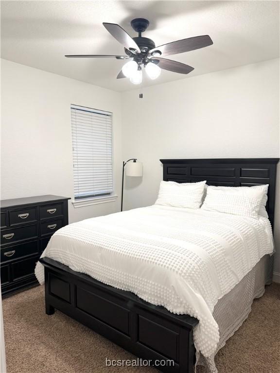 228 Passendale Ln, College Station, TX 77845 - photo 16