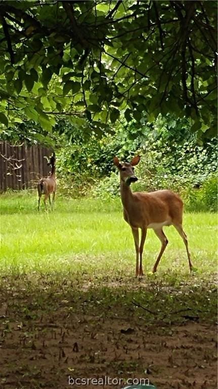 Listing photo 3 for TBD Casper Pl, Hilltop Lakes TX 77871