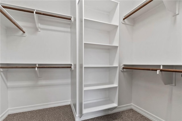 1704 Lakeshore Ct, College Station, TX 77845 - photo 21
