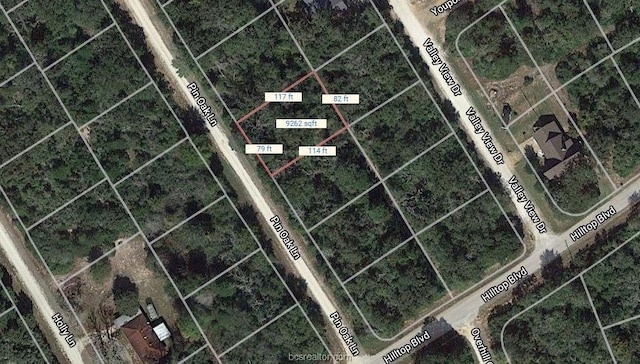 LOT16 Pin Oak Ln, Hilltop Lakes TX, 77871 land for sale