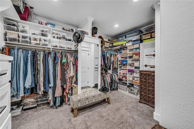 walk in closet with carpet floors