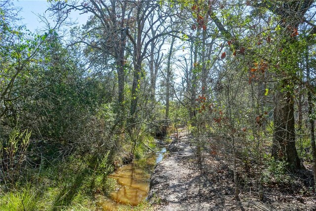 Listing photo 3 for LOT7 County Rd 229, Bedias TX 77831