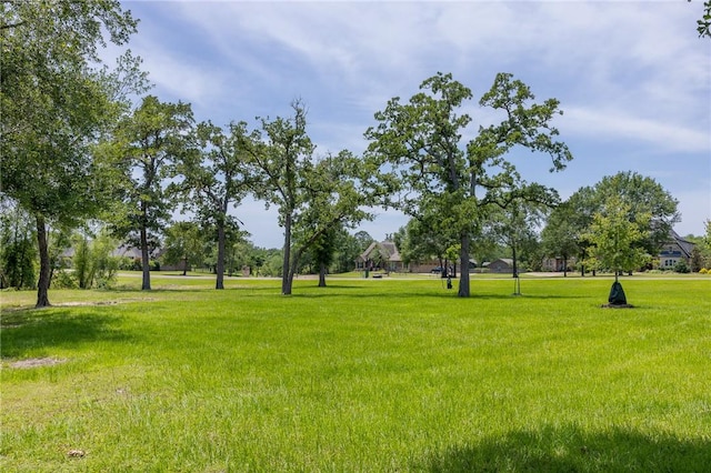 10560 St John Dr, Iola, TX 77861 - view of community with a yard