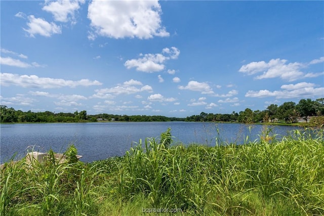 Listing photo 3 for TBD Chestnut Dr, Caldwell TX 77836