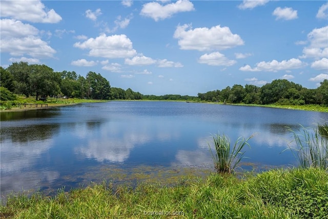 TBD Chestnut Dr, Caldwell, TX 77836 - photo 5