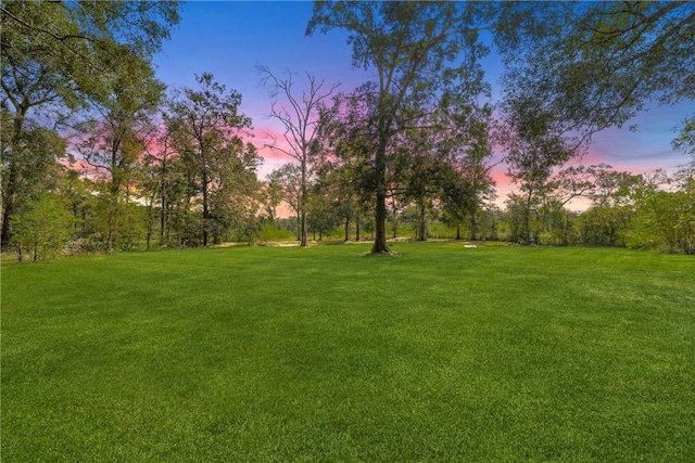 view of yard at dusk